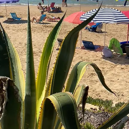 Casa Sunshine 2.0 - Vacanze Al Mare Punta Braccetto